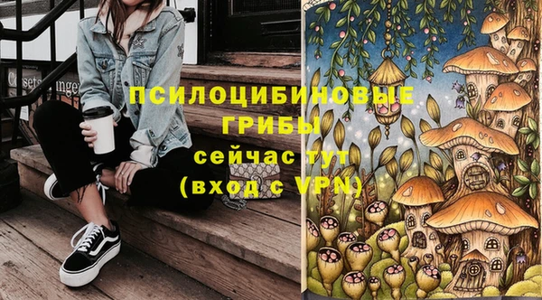 ешки Верея